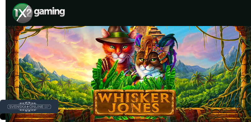 Whisker Jones: exklusivt hos NoAccountCasino 9 december – 6 januari